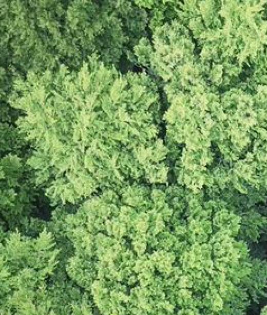 Bild från filmen Space Stood Still